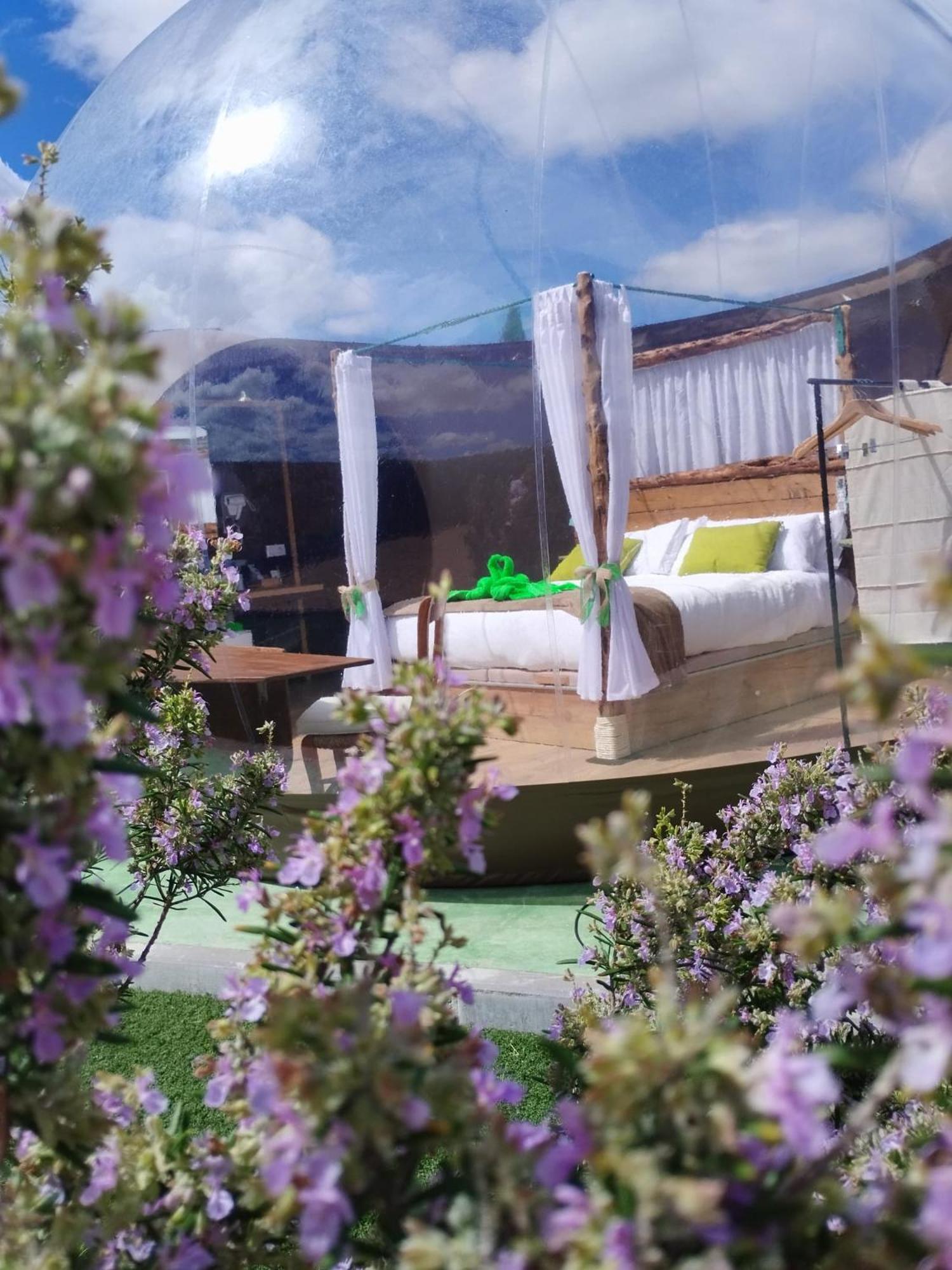 Cosmoveros - Hotel Burbuja ペドラサ エクステリア 写真